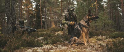 Luftförsvarsövning 2021.
Hundföraren Carl med Försvarsmaktens Nicky stannar för att spana i terrängen. 