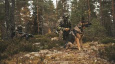 Luftförsvarsövning 2021.
Hundföraren Carl med Försvarsmaktens Nicky stannar för att spana i terrängen. 